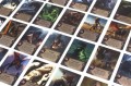 rebel-gra-przygodowa-wiedzmin-stary-swiat-deluxe-foto10.jpg