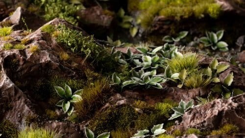 gamers-grass-laser-plants-plantain-lily-funkia (1).jpg