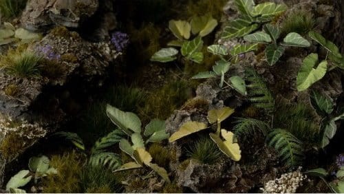 gamers-grass-laser-plants-elephant-ear-kolokazja (1).jpg