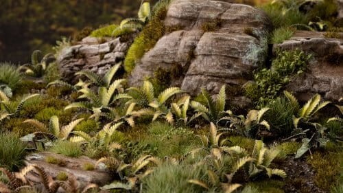 gamers-grass-laser-plants-deer-fern-podrzen-zebrowiec (3).jpg