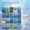 Ekosystem-2-rafa-koralowa-wyjasnienie-2.jpg