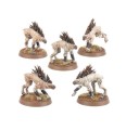 tau-kroot-hounds.jpg