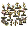 Blood-Bowl-Wood-elf-team-The-Athelorn-Avengers-2019.jpg