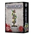 blood-bowl-troll-box.jpg
