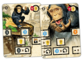 zamiast-nas-box-afterus_cartes_chimp.png