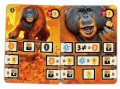 zamiast-nas-box-afterus_cartes_orangoutan.png