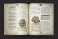 free-league-dragonbane-path-of-glory-8.jpg