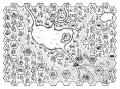 TheGloamingHexMap_2000x.webp