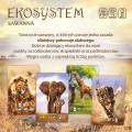 EKOSYSTEM-3-SAWANNA-2.jpg