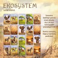 EKOSYSTEM-3-SAWANNA-3.jpg