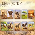 EKOSYSTEM-3-SAWANNA-4.jpg