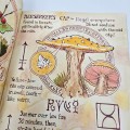 Mork-Borg-Garth-Grimgars-Guide-to-the-Flora-of-the-Dying-World-4.jpg