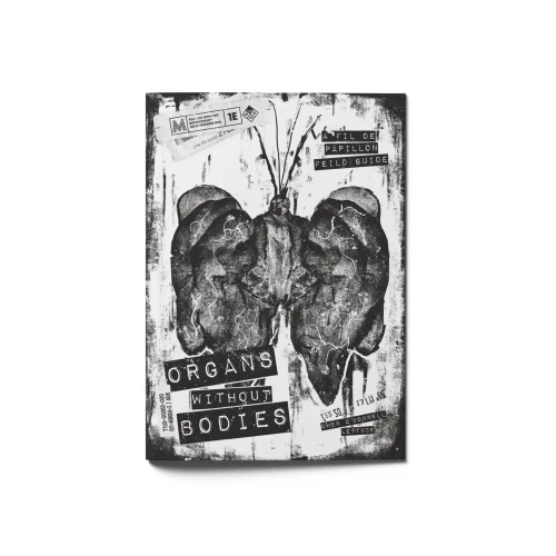 organs-without-bodies.webp