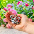 zestaw-kości-full-art-dice™-róże (3).jpg
