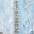 gra-o-tron-zestaw-kości-10xk6-stark (4).jpg
