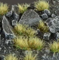 gamers-grass-tuft-autumn-wild-5mm (1).jpg