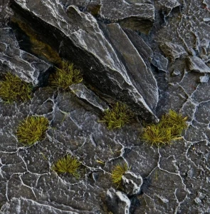 Gamers Grass Tuft Tiny Dark Moss