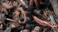 gamers-grass-tuft-alien-void-6mm (1).jpg