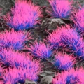 gamers-grass-tuft-alien-neon-6mm (1).jpg
