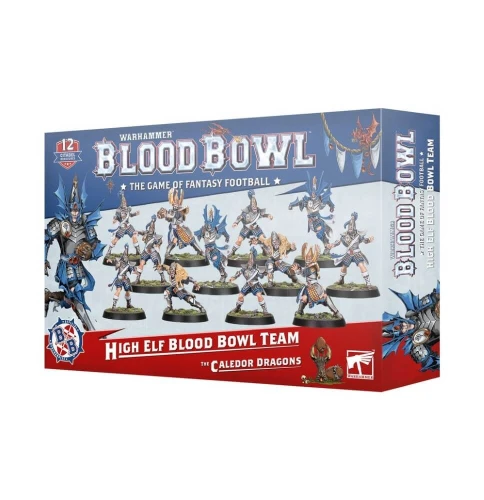 blood-bowl-high-elf-team (1).jpg