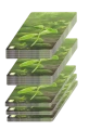 Leśne-Rozdanie-3.png