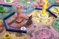 Takenoko-ECO-7.jpg
