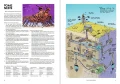 Ultra-Violet-Grasslands-RPG-2.0-Hardcover-03.jpg