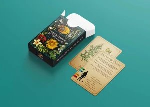 The Herbalists Flash Cards