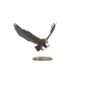 M-E-SBG-Great-Eagles-2.jpg