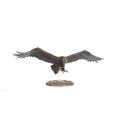 M-E-SBG-Great-Eagles-3.jpg