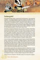 root-rpg-podrecznik-glowny-edycja-retail (3).webp
