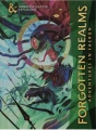 DnD-5E-Forgotten-Realms-Adventures-in-Faerun-Alternate-2.png