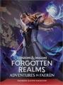 DnD-5E-Forgotten-Realms-Adventures-in-Faerun-Standard-Cover-2.png