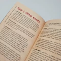 SVB-OLDESTCHILD-BOOK — zawartość