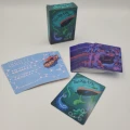 Tacklebox — zawartość