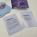 Tacklebox — zawartość