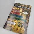 Sentai & Sensibility RPG — strona tytułowa