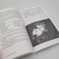 Under Hollow Hills Corebook — zawartość