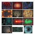 Crooked Moon RPG Tactical Map Pack — tył (producent)
