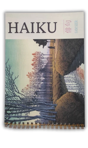 HAIKU — przód (producent)