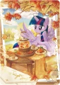 KAY-MLP-RAINBOW-GOLDBOOSTER-PACK — spis treści (producent)