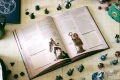Tal'Dorei Campaign Setting Reborn — zawartość (producent)