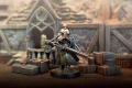 Trench Crusade: Sniper Priests — zawartość (producent)