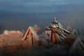 Trench Crusade: Sniper Priests — zawartość (producent)