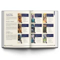dragon-prince-tales-of-xandia-handbook-characters.webp