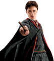 rebel-harry-potter-obrona-przed-czarna-magia-9.png