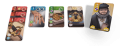 rebel-gra-dwuosobowa-splendor-pojedynek-asset3.png